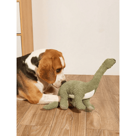 Peluche dinosaure - livraison express